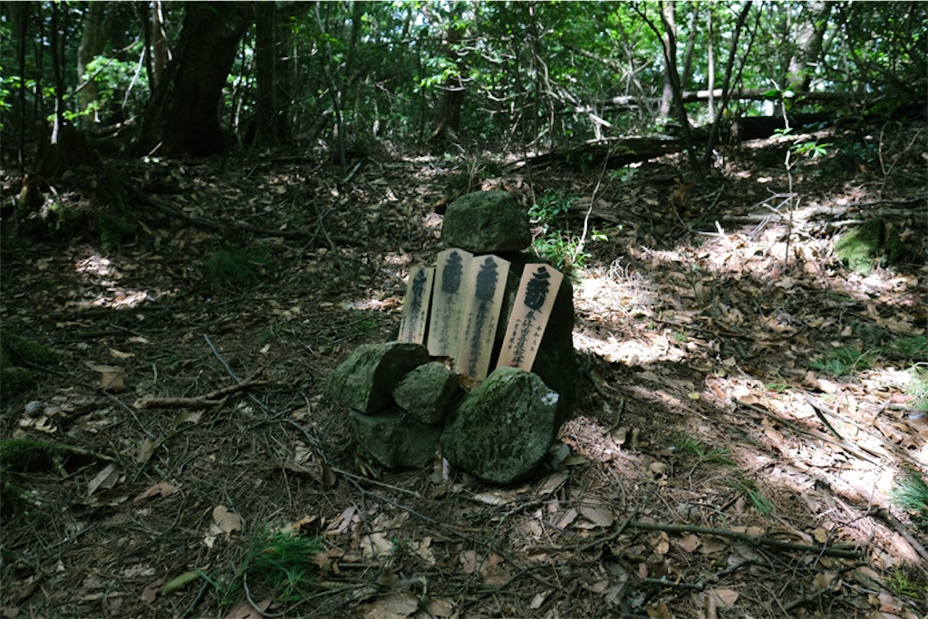 f:id:salomery:20211025161404j:plain