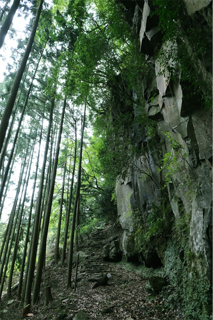 f:id:salomery:20211025161419j:plain