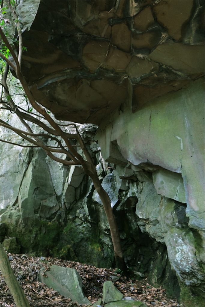 f:id:salomery:20211025161455j:plain