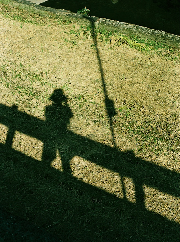 f:id:salomery:20211025233403j:plain