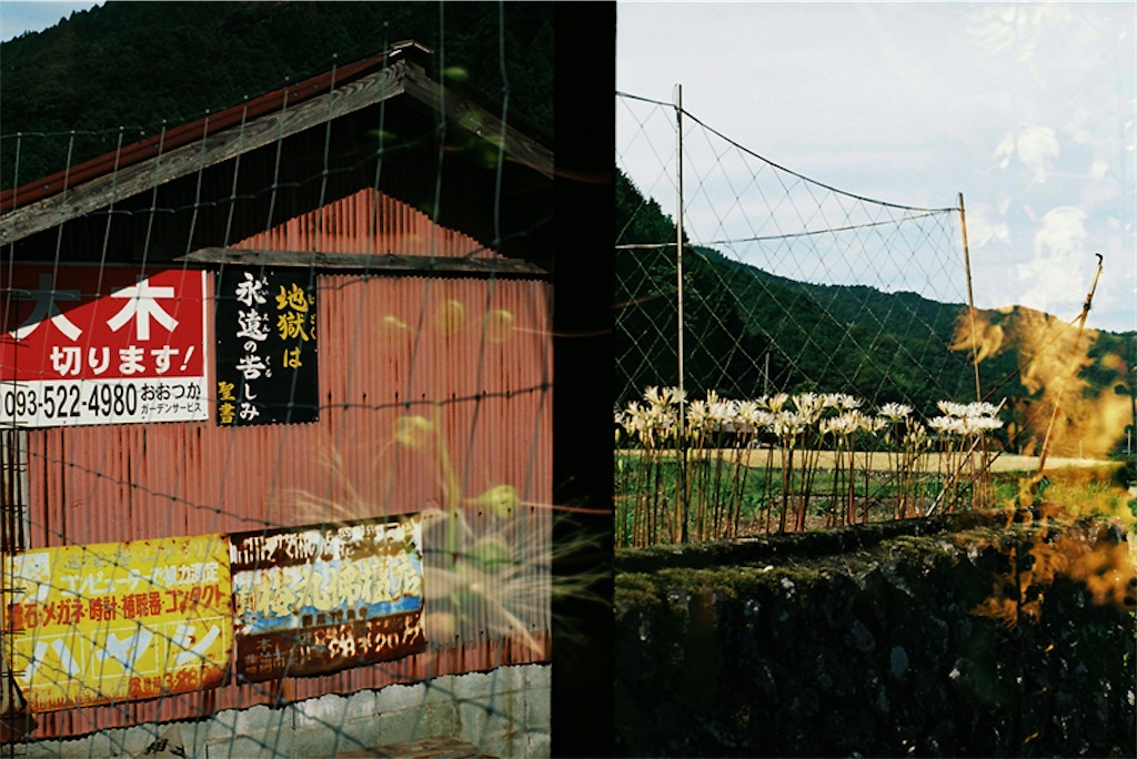 f:id:salomery:20211025233405j:plain