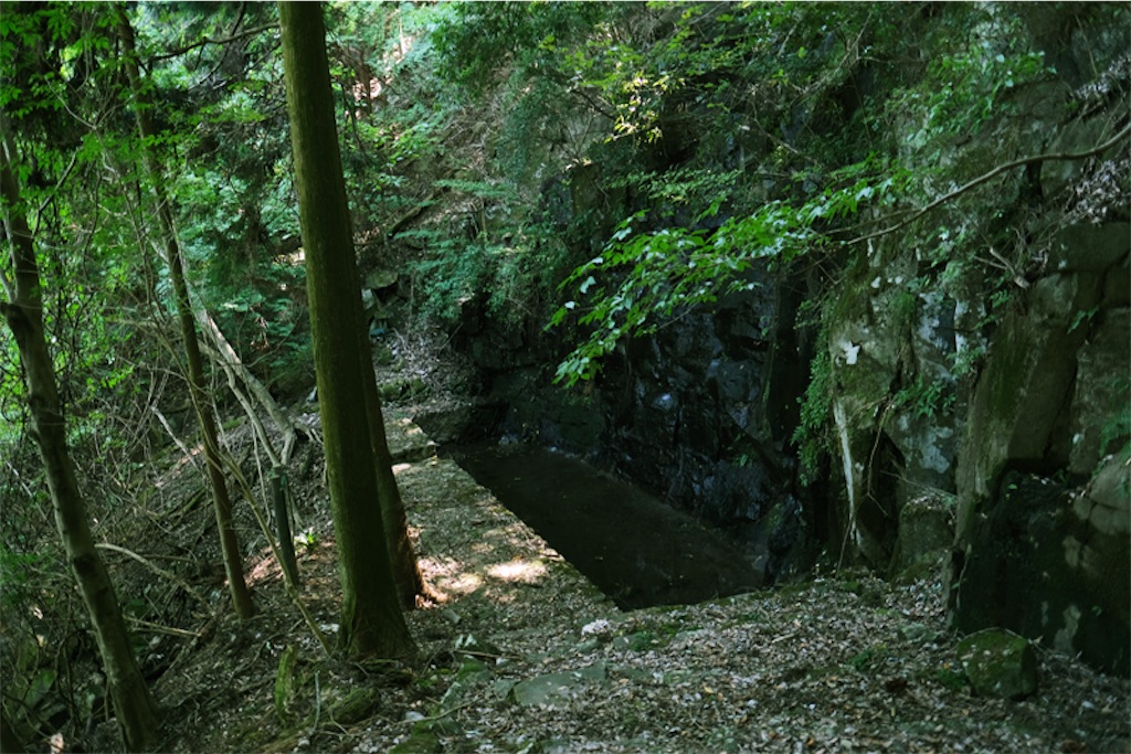 f:id:salomery:20211026164737j:plain