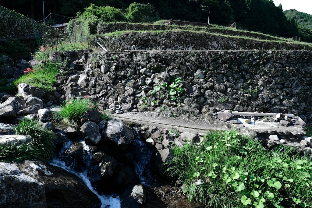 f:id:salomery:20211027132942j:plain