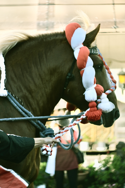 f:id:salomery:20211216224244j:plain