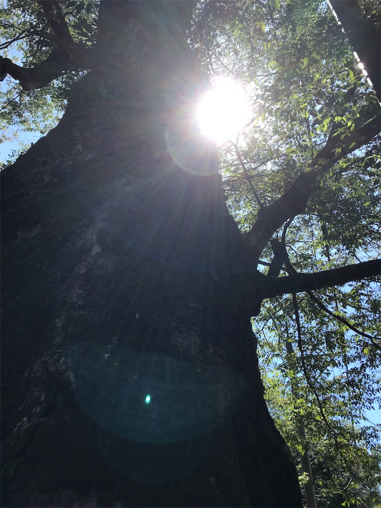 f:id:salon-de-monna:20190921193454j:image f:id:salon-de-monna:20190921193454j:image