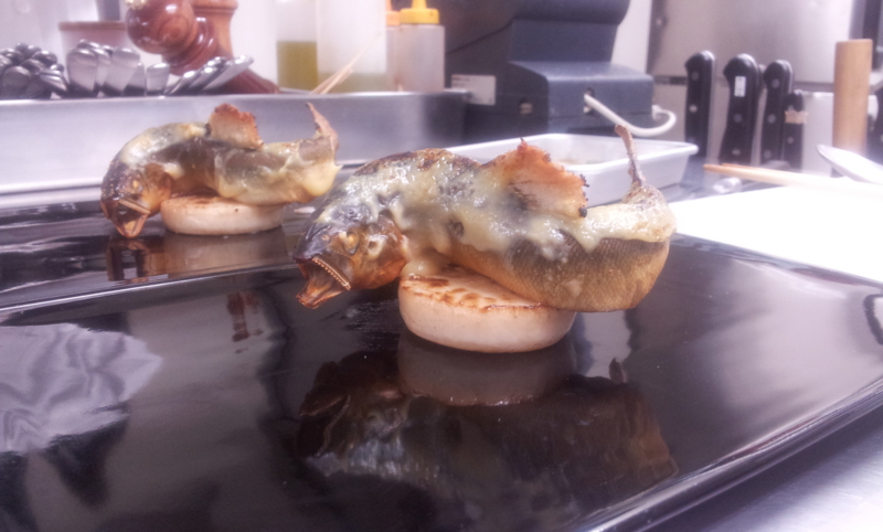 f:id:salon-de-ryuduki:20120601035300j:image:w360 f:id:salon-de-ryuduki:20120601035300j:image:w360