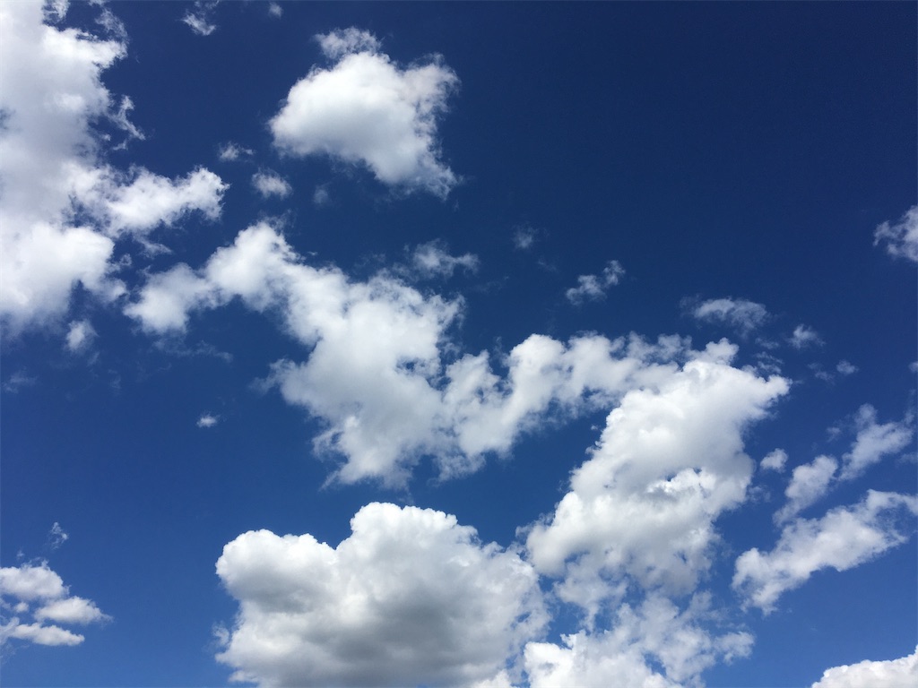 f:id:salon-pastel:20200929210923j:image f:id:salon-pastel:20200929210923j:image