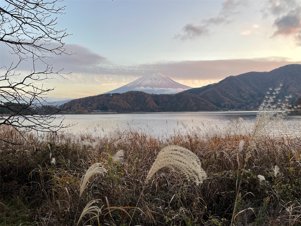 f:id:salon-pastel:20211120190802j:image