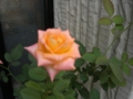 20090913111609