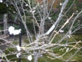 20091024143112