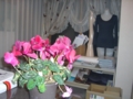 20100118201726