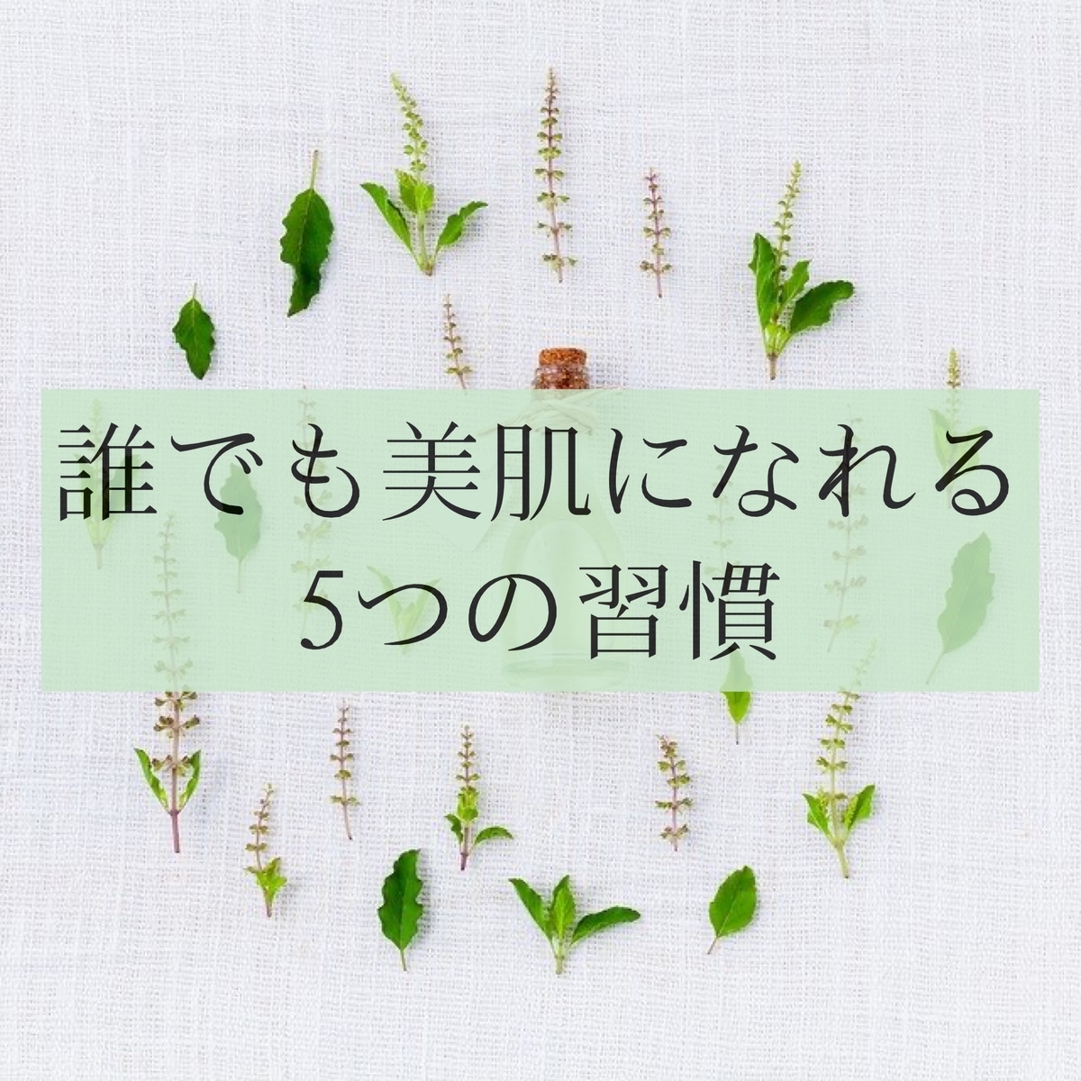 f:id:salon_moon:20210221153630j:plain