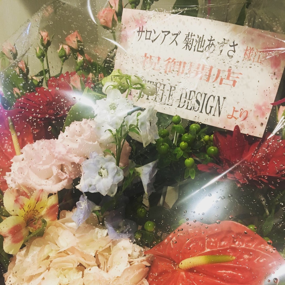 f:id:salonaz:20190720102057j:plain f:id:salonaz:20190720102057j:plain