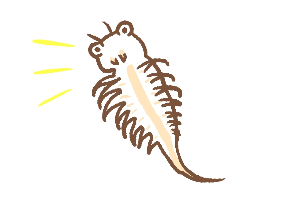 f:id:salt36:20211229034508j:plain