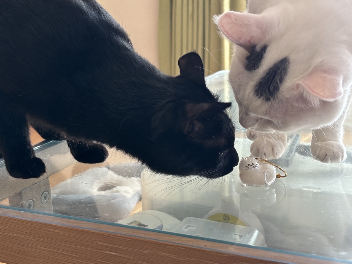 たまごさん専用☆ミニザクロちゃんと黒虫さんハラマルくんシマウサくんしましま猫さん たまごさん専用☆ミニザクロちゃんと黒虫さんハラマルくんシマウサくん