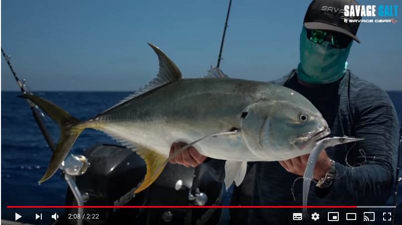 Savage Gear の ダツ のルアー 3d Needlefish がリアルすぎる 青物ビッグゲームやgt キハダ狙いに最適だろこれ ルアー インプレ レビュー 感想 評価 ショアジギ 磯 ショア ロッド ライト スロー シマノ
