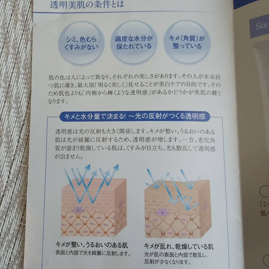 f:id:saltmelon:20190806005830j:plain f:id:saltmelon:20190806005830j:plain