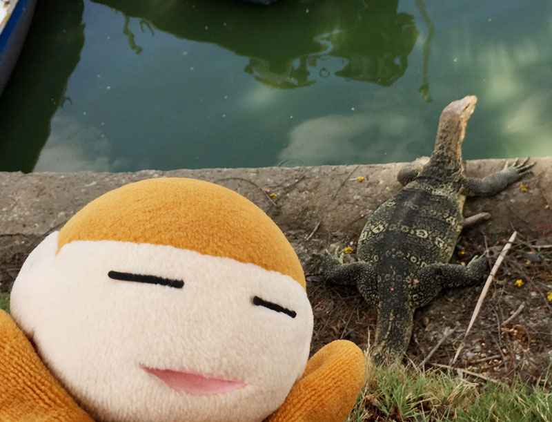 f:id:salucoro:20190219114041j:plain f:id:salucoro:20190219114041j:plain