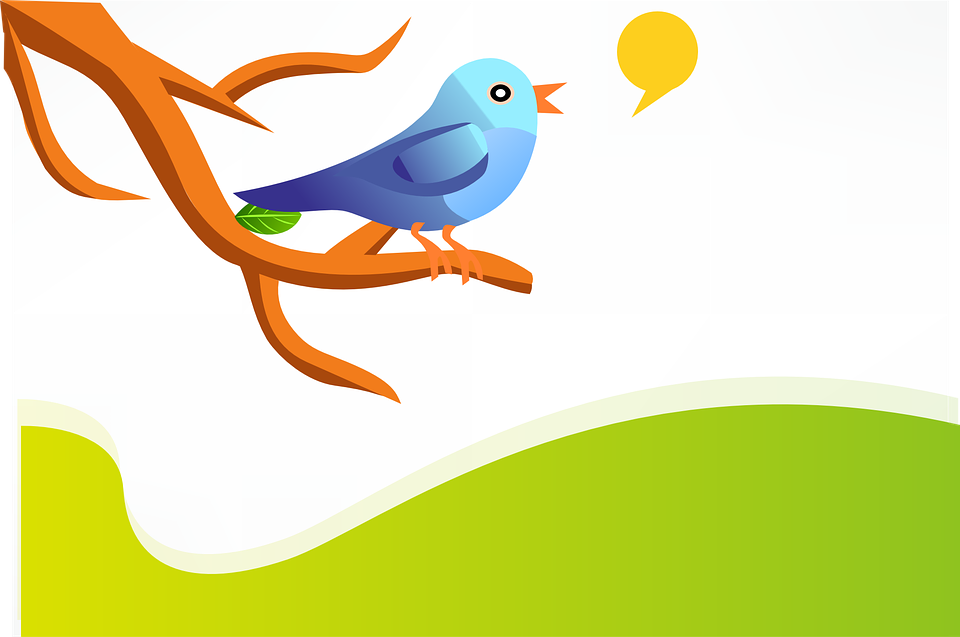 Twitterフォロワー数100突破