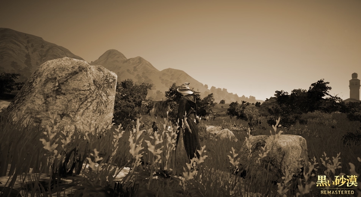 漁船で操舵不能に陥り それから脱出 黒い砂漠日記