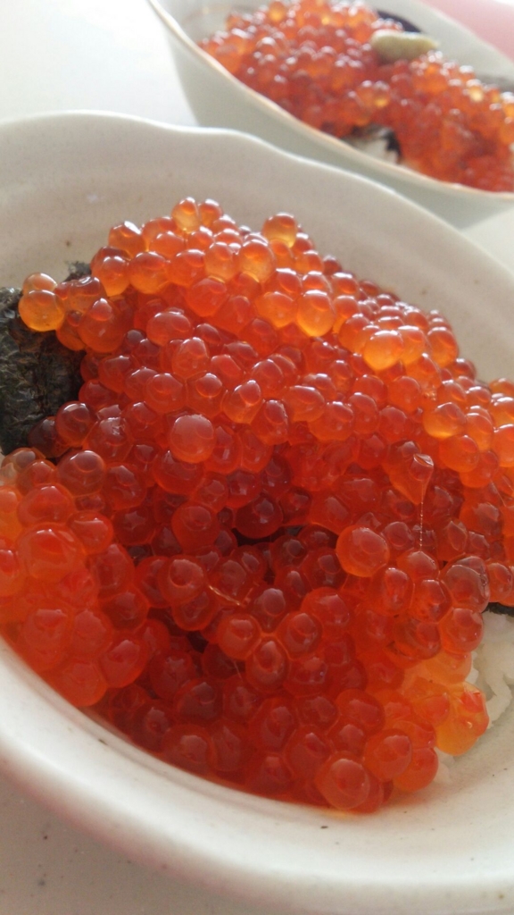 f:id:samarise:20170103220231j:plain f:id:samarise:20170103220231j:plain