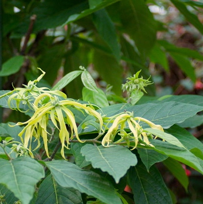 f:id:samathi:20150713142047j:plain f:id:samathi:20150713142047j:plain