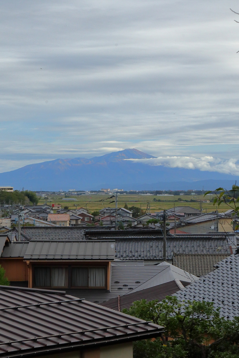 f:id:samatsuri:20201019225026j:plain