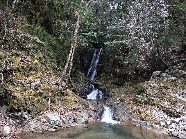 f:id:samayoic:20240216214529j:image f:id:samayoic:20240216214529j:image