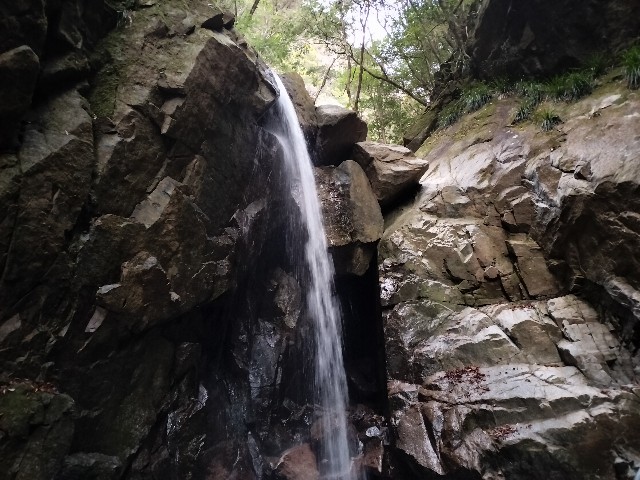 f:id:samayoic:20240216214557j:image f:id:samayoic:20240216214557j:image