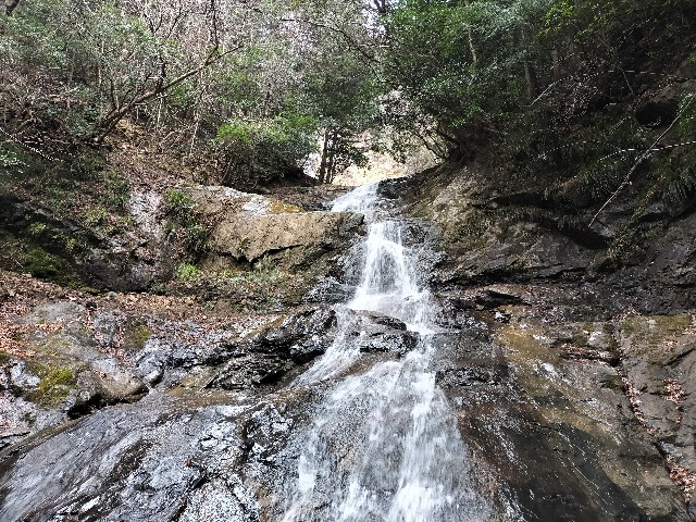 f:id:samayoic:20240216214618j:image f:id:samayoic:20240216214618j:image