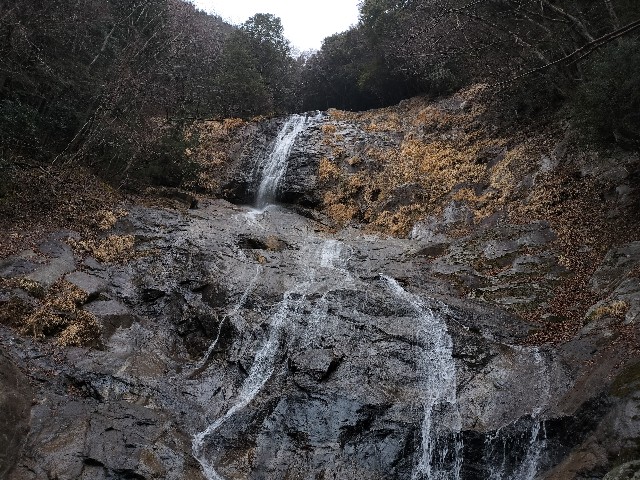 f:id:samayoic:20240216214628j:image f:id:samayoic:20240216214628j:image