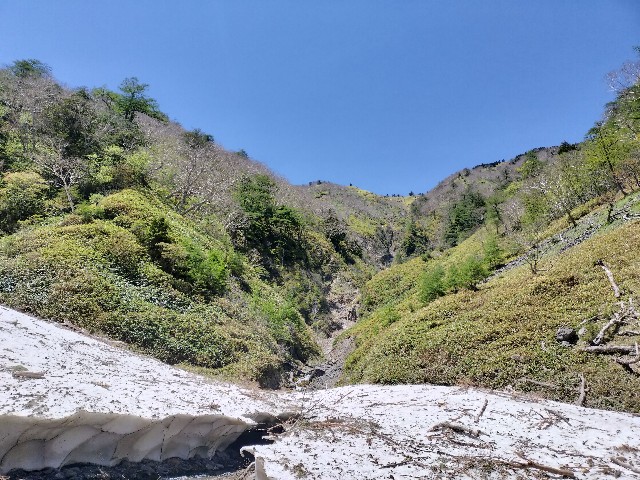 f:id:samayoic:20240525190746j:image