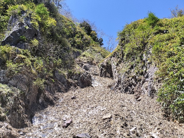 f:id:samayoic:20240525190818j:image