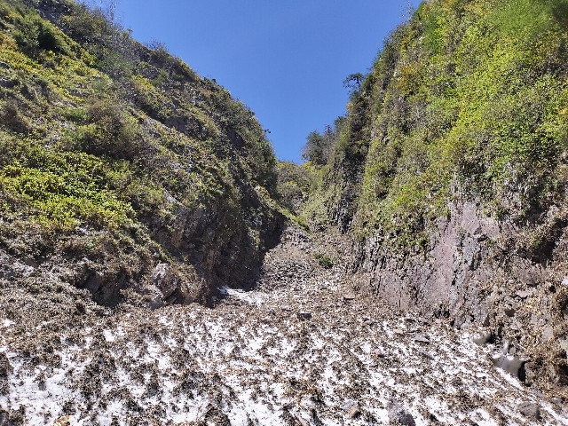 f:id:samayoic:20240525190904j:image