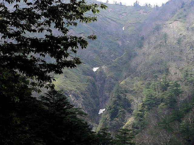 f:id:samayoic:20240526221247j:image