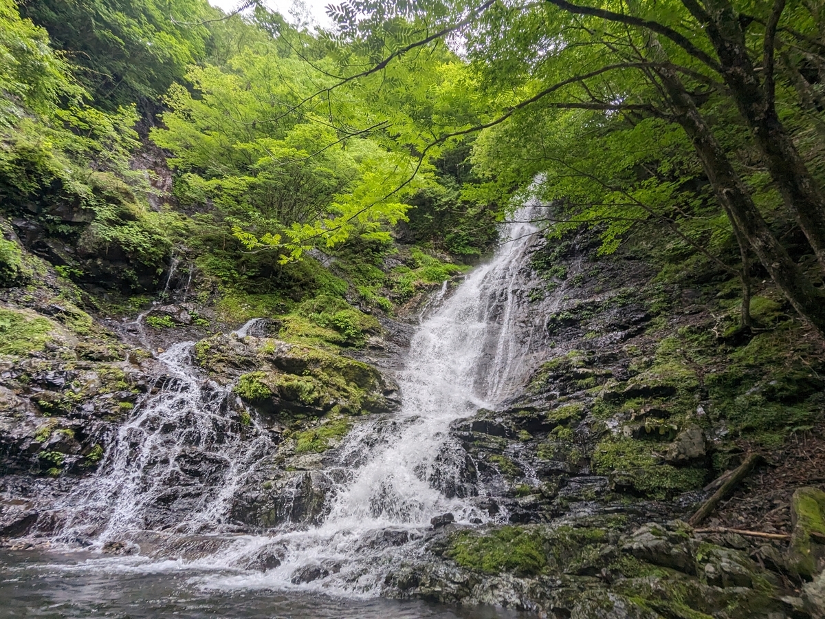 台高 蓮川奥ノ平谷 - 紀 伊 半 島 彷 徨 ク ラ ブ