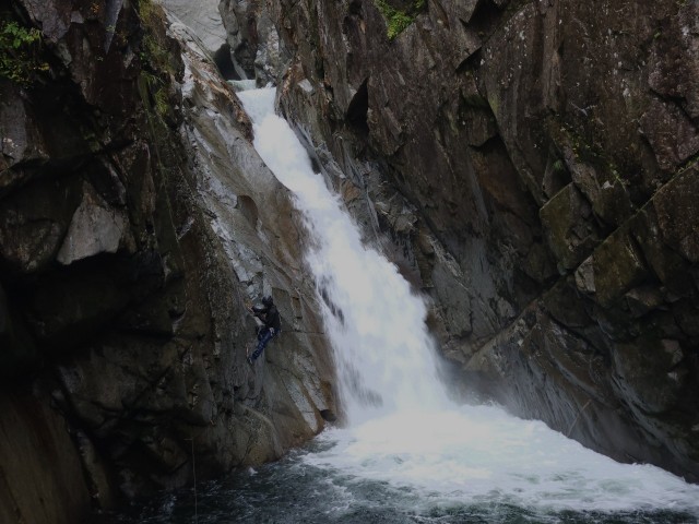 f:id:samayoic:20241013133140j:image