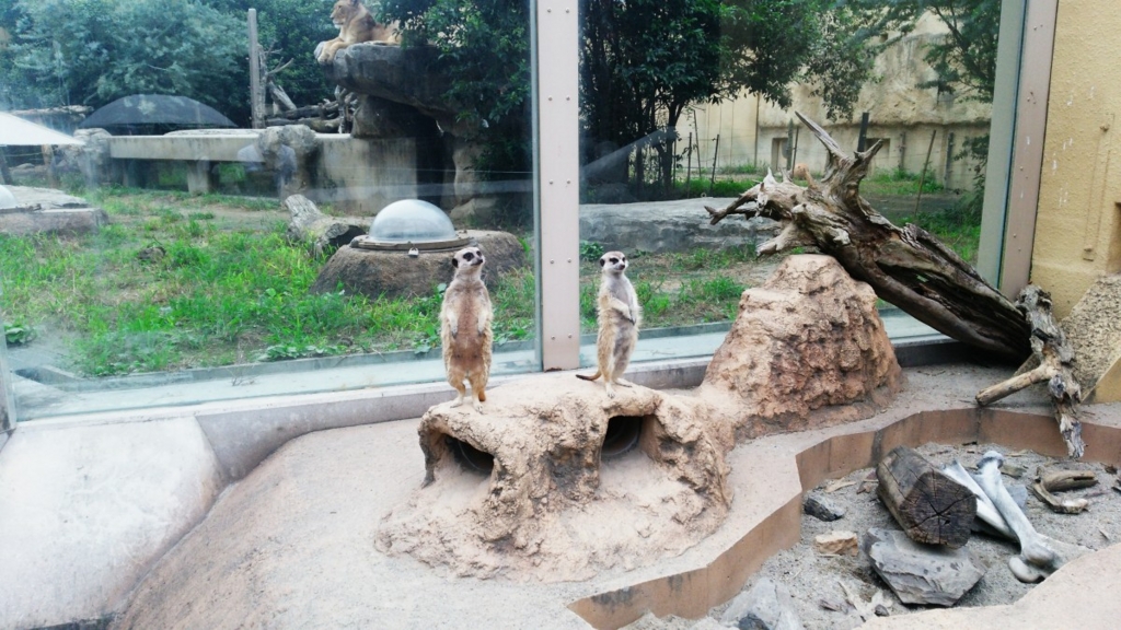 f:id:samayoicyarinko:20150907083232j:plain f:id:samayoicyarinko:20150907083232j:plain