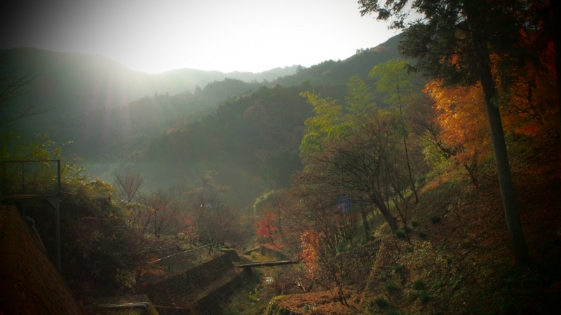 f:id:samayoicyarinko:20161204233426j:plain f:id:samayoicyarinko:20161204233426j:plain