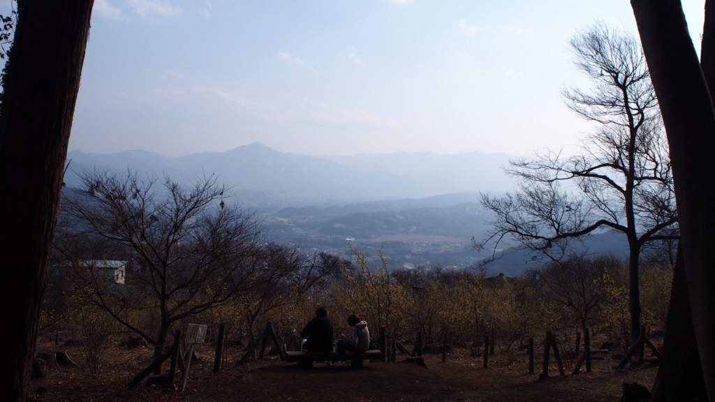 f:id:samayoicyarinko:20180301230615j:plain