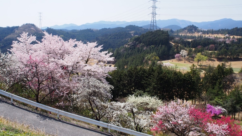 f:id:samayoicyarinko:20180403062042j:plain