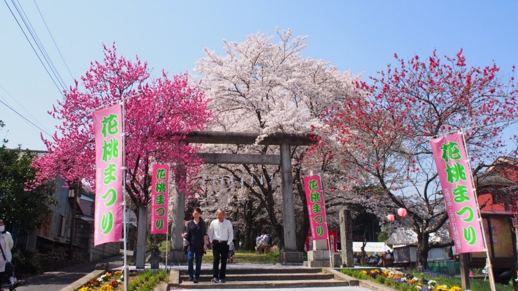 f:id:samayoicyarinko:20180403062812j:plain