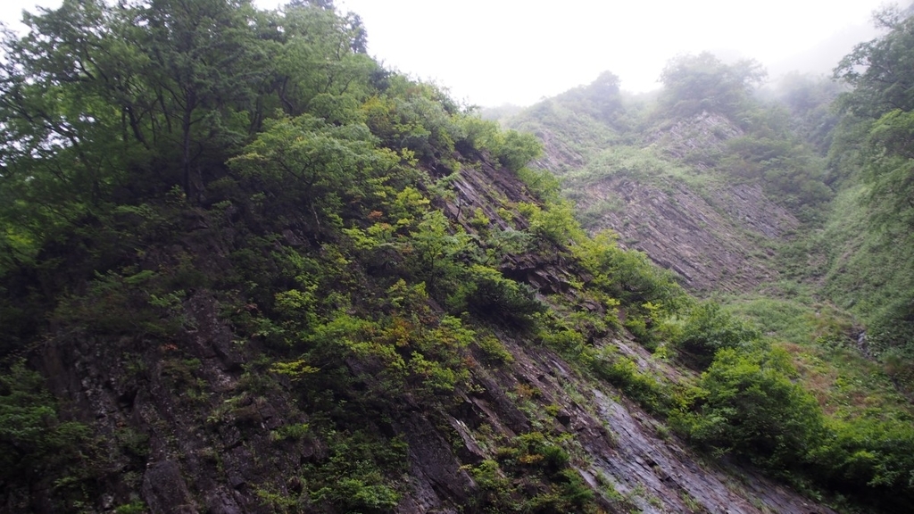 f:id:samayoicyarinko:20180923004835j:plain f:id:samayoicyarinko:20180923004835j:plain
