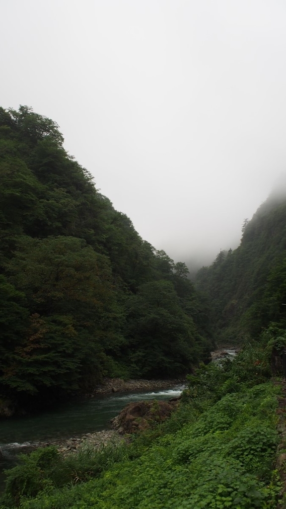 f:id:samayoicyarinko:20180923004848j:plain f:id:samayoicyarinko:20180923004848j:plain