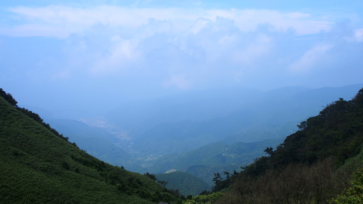 f:id:samayoicyarinko:20190910000623j:plain f:id:samayoicyarinko:20190910000623j:plain