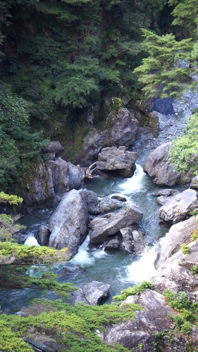 f:id:samayoicyarinko:20190925231837j:plain f:id:samayoicyarinko:20190925231837j:plain