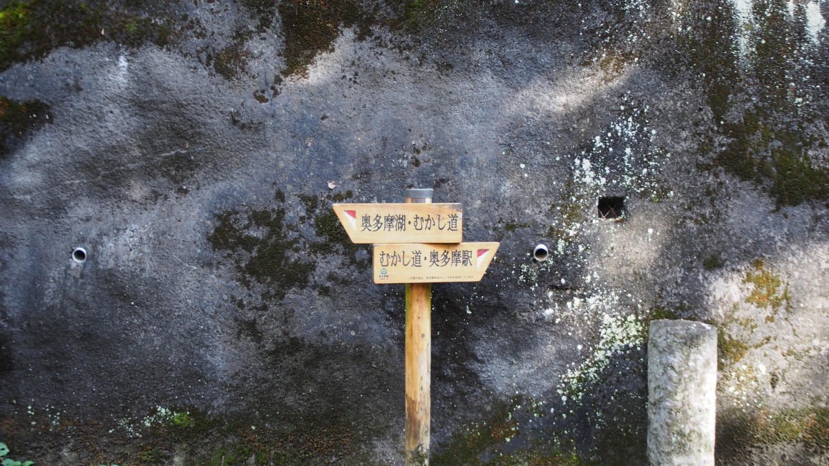 f:id:samayoicyarinko:20191113214008j:plain