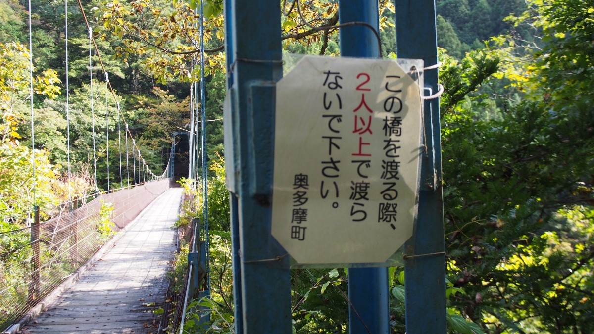 f:id:samayoicyarinko:20191113215423j:plain