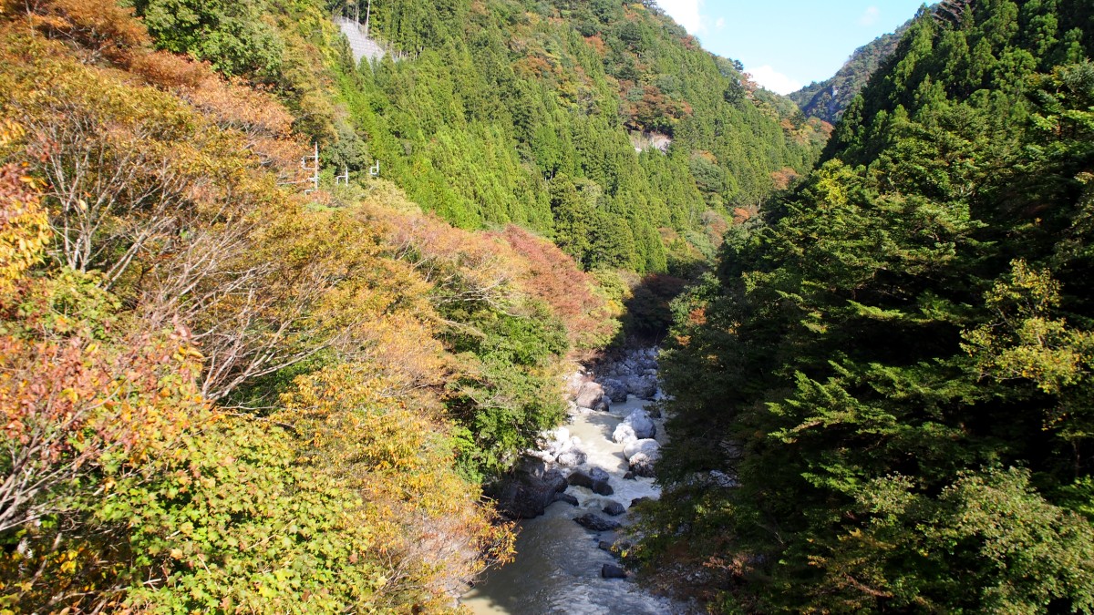 f:id:samayoicyarinko:20191113215658j:plain