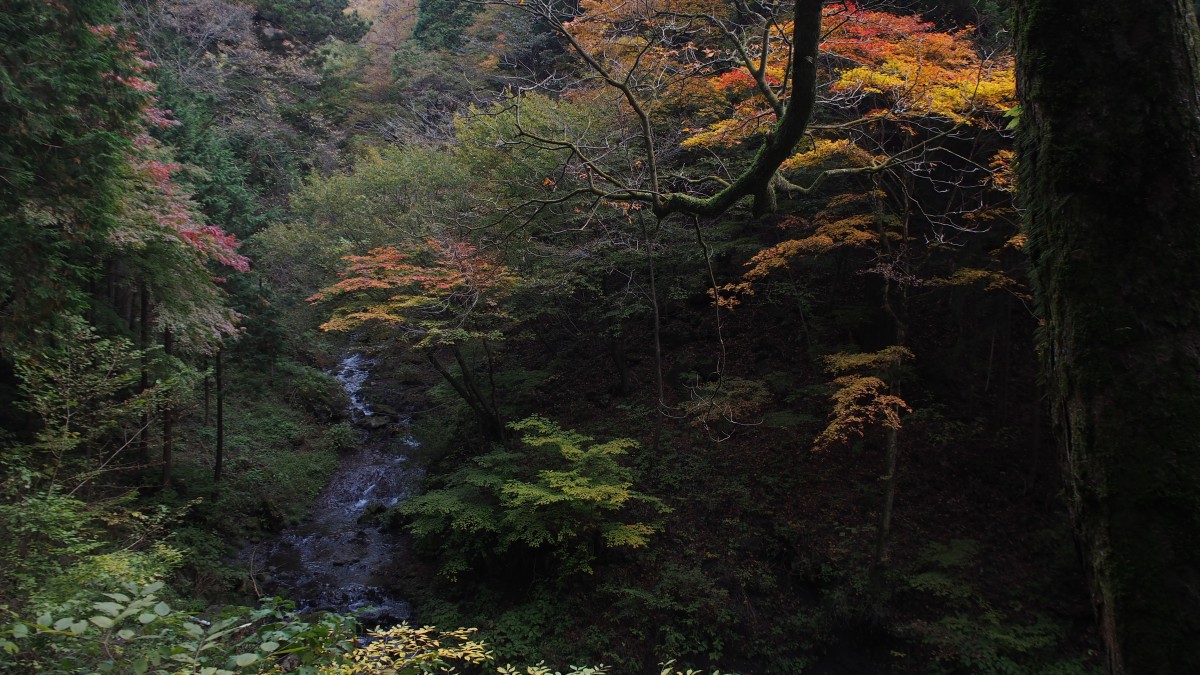 f:id:samayoicyarinko:20201230212018j:plain